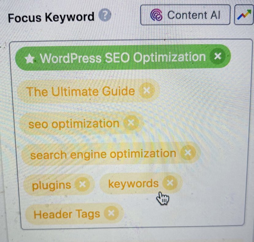 Search Engine Optimization